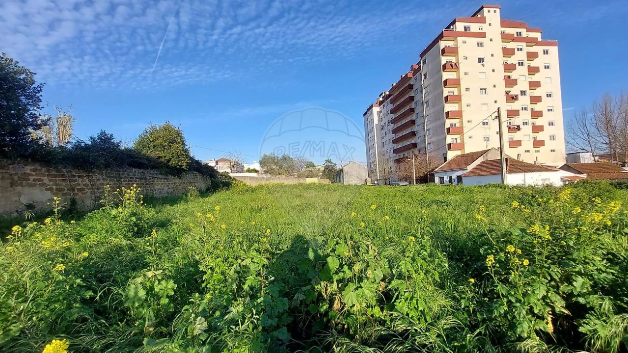 Terreno para Venda em Rio Maior Foto 22