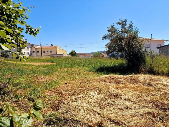 Terreno para Venda em Figueira de Lorvão Foto 7
