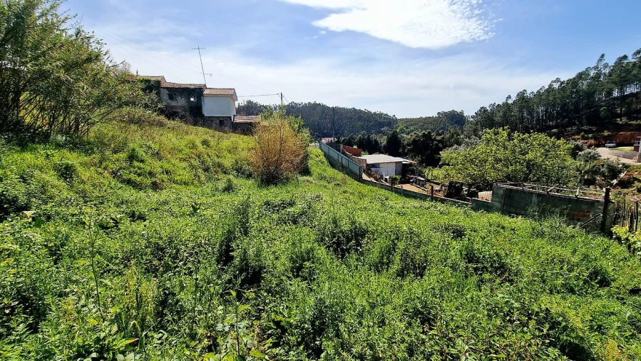 Terreno para Venda em Eiras e São Paulo de Frades Foto 6