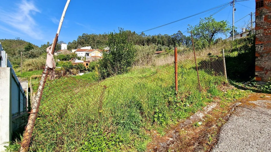 Terreno para Venda em Eiras e São Paulo de Frades Foto 4