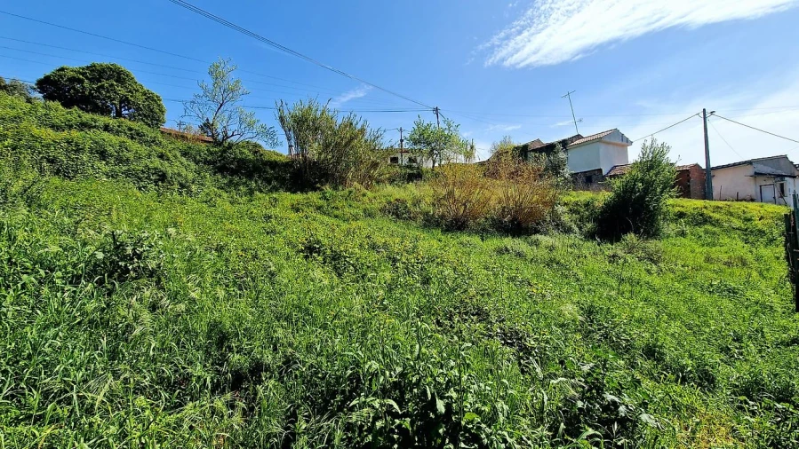 Terreno para Venda em Eiras e São Paulo de Frades Foto 2