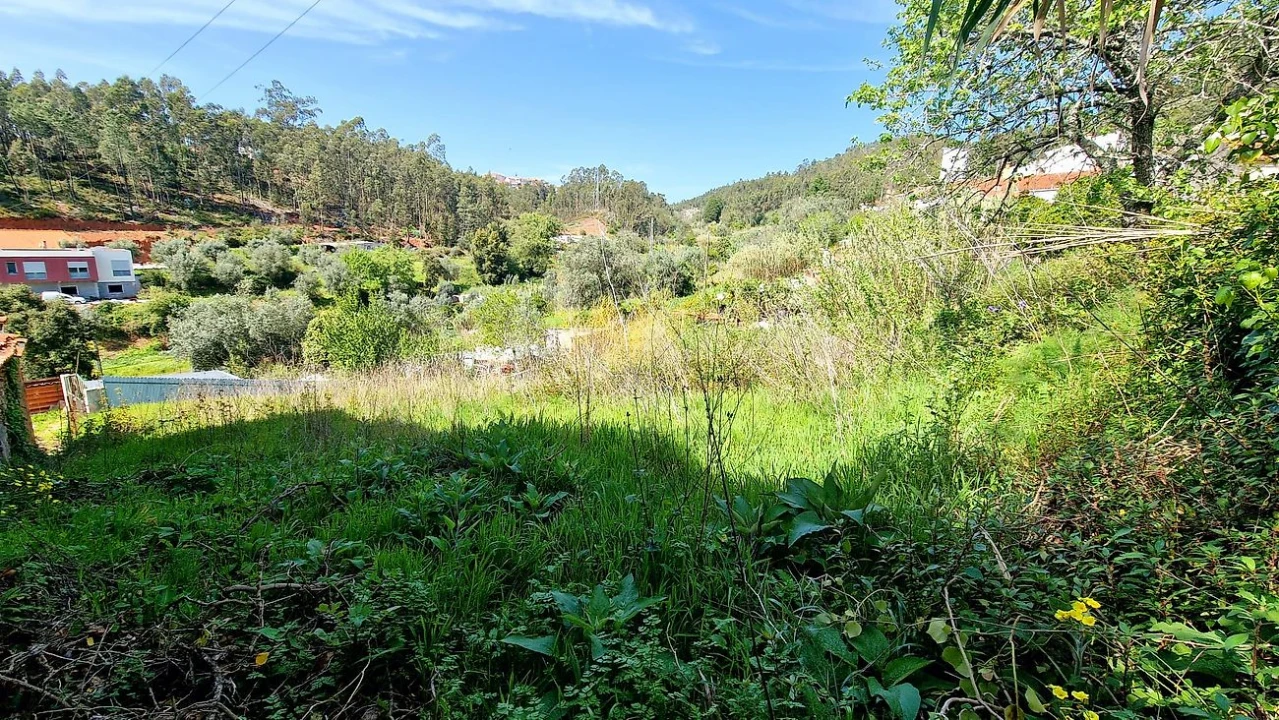 Terreno para Venda em Eiras e São Paulo de Frades Foto 3
