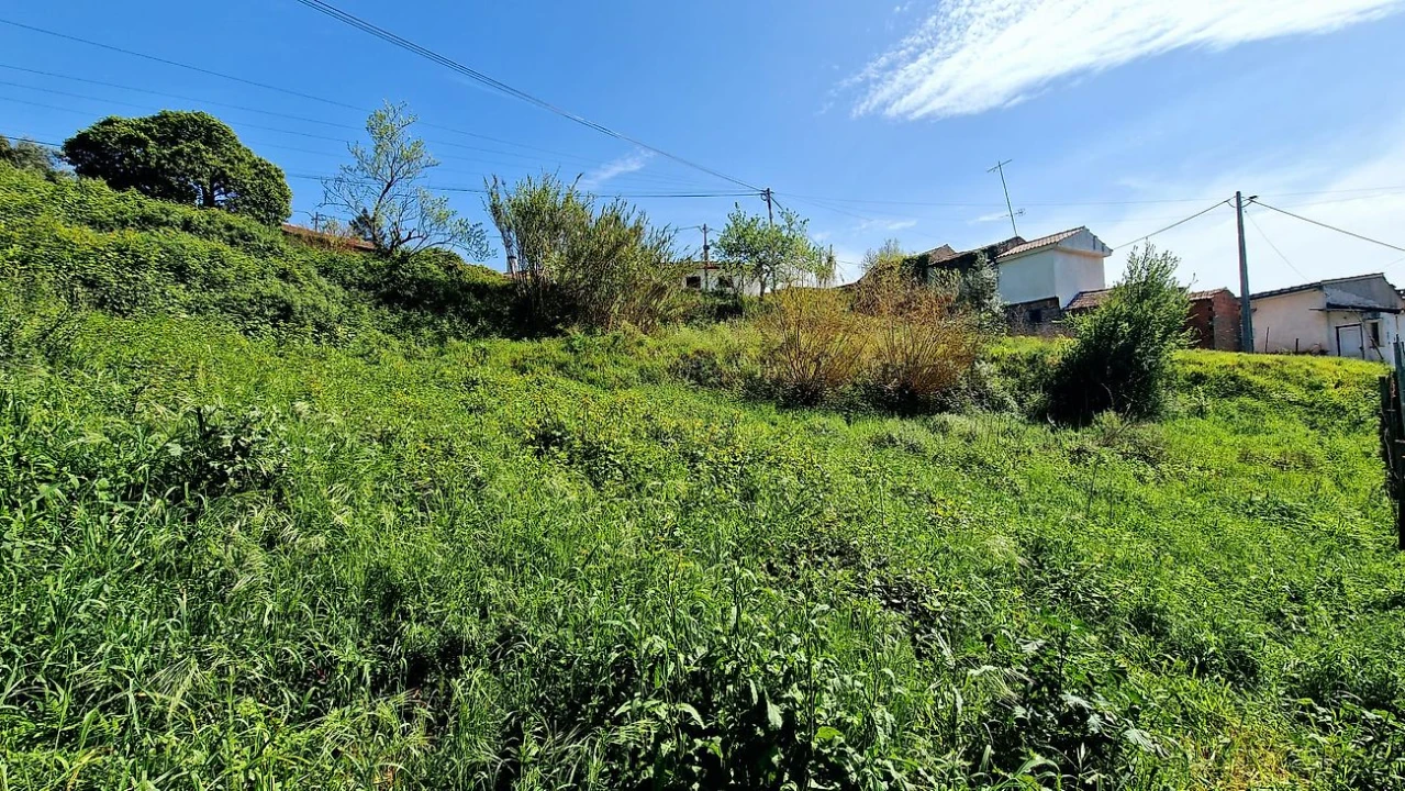 Terreno para Venda em Eiras e São Paulo de Frades Foto 2