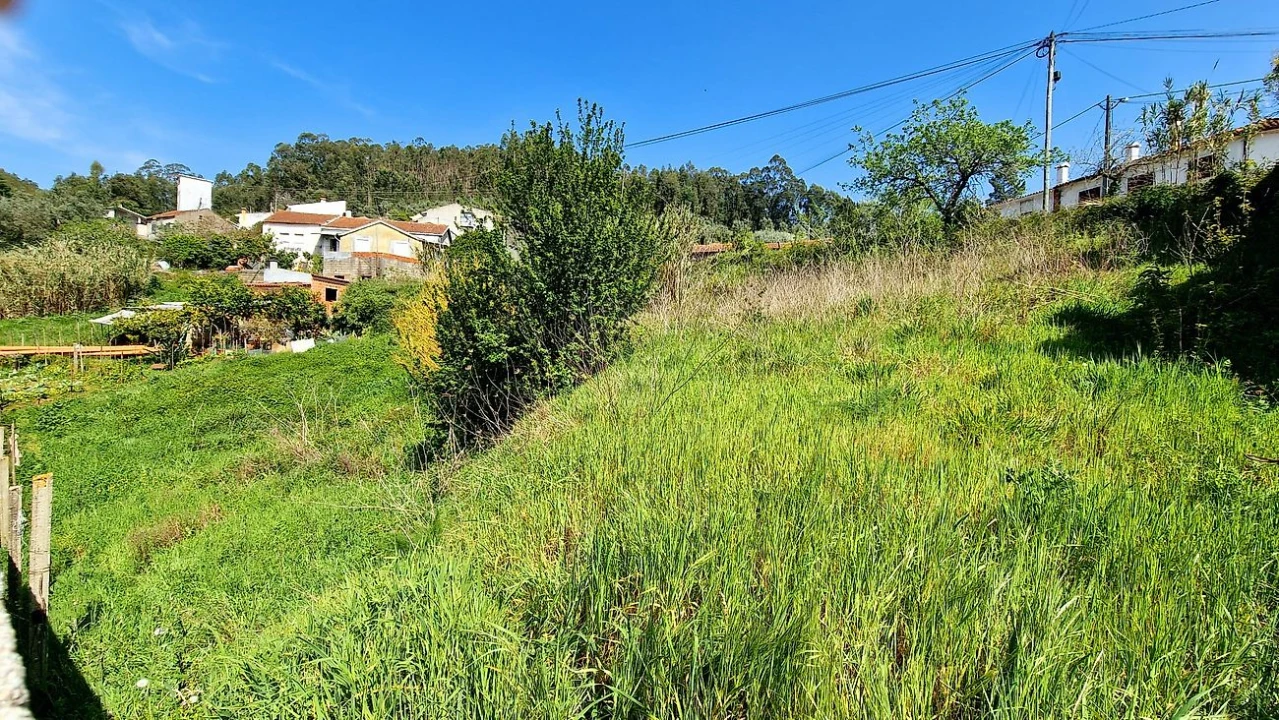 Terreno para Venda em Eiras e São Paulo de Frades Foto 5