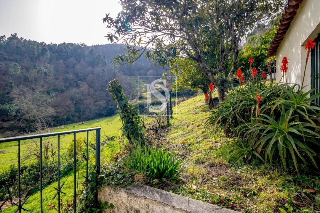 Moradia T3 para Venda em Teixeira e Teixeiró Foto 25