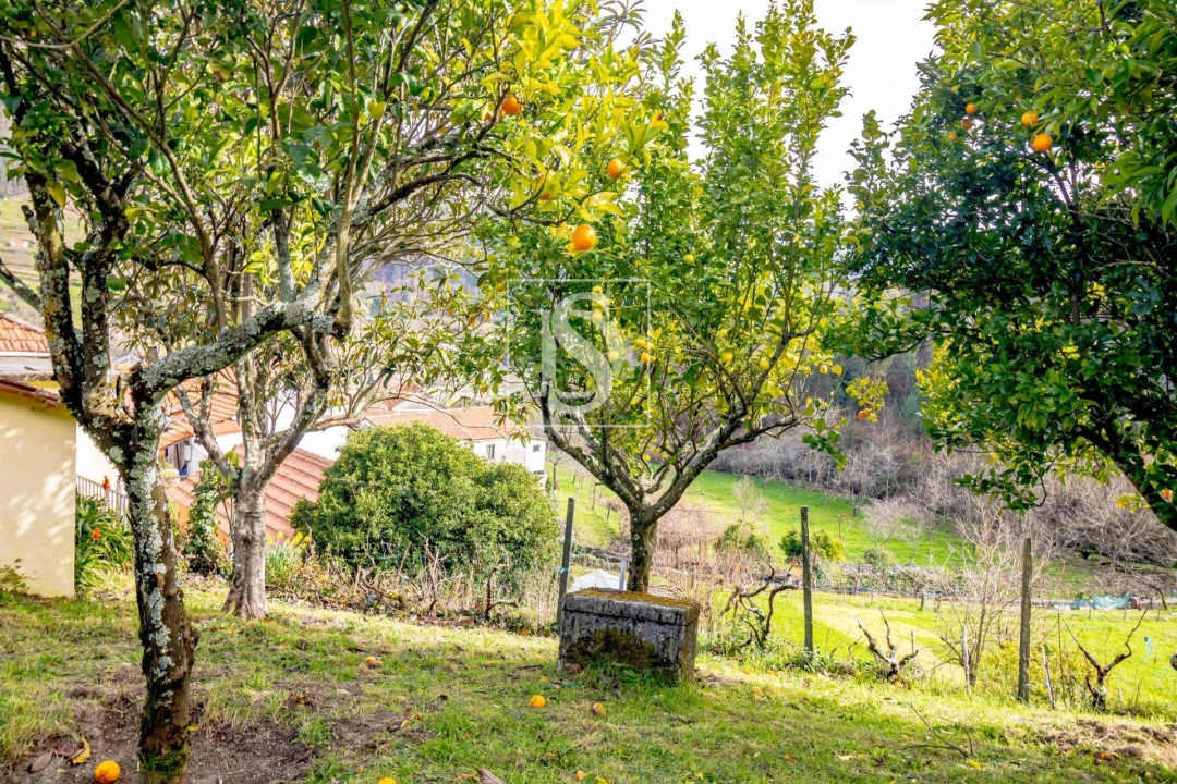 Moradia T3 para Venda em Teixeira e Teixeiró Foto 29