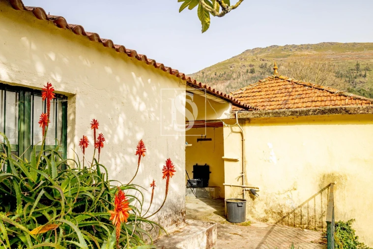 Moradia T3 para Venda em Teixeira e Teixeiró Foto 23