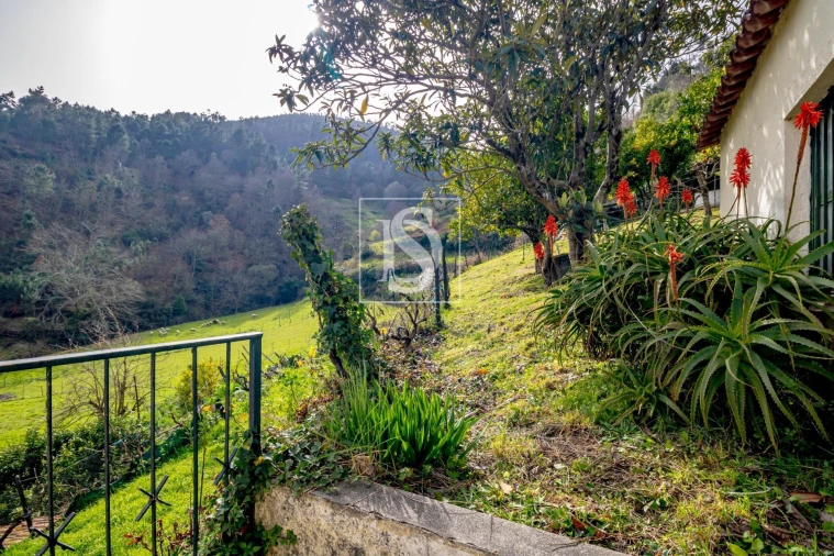 Moradia T3 para Venda em Teixeira e Teixeiró Foto 25