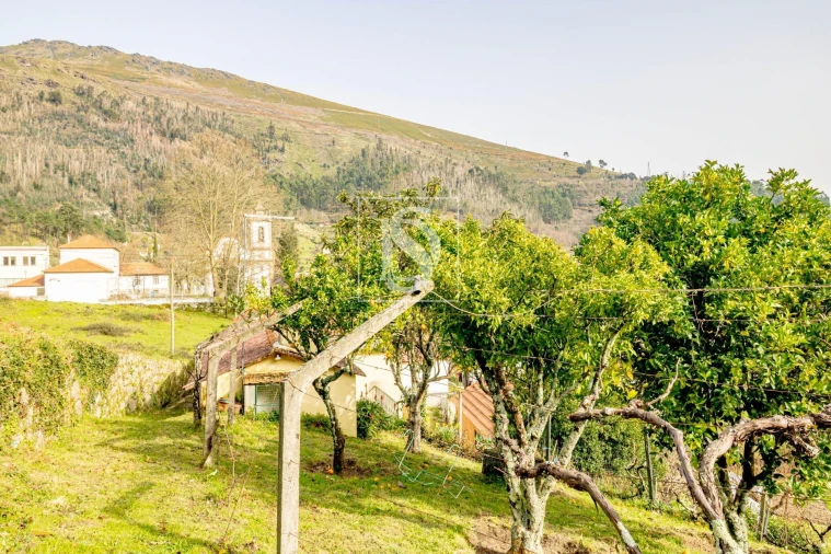 Moradia T3 para Venda em Teixeira e Teixeiró Foto 30