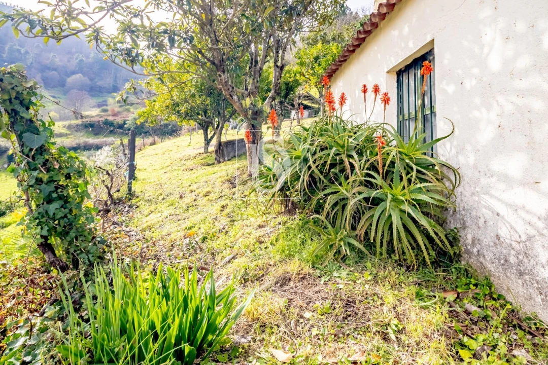 Moradia T3 para Venda em Teixeira e Teixeiró Foto 26