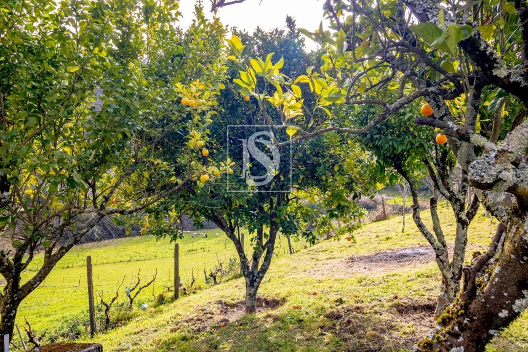 Moradia T3 para Venda em Teixeira e Teixeiró Foto 31