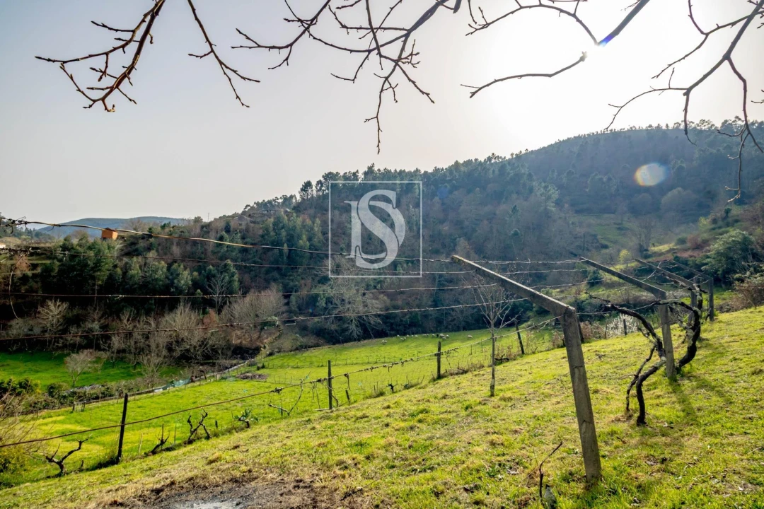 Moradia T3 para Venda em Teixeira e Teixeiró Foto 34