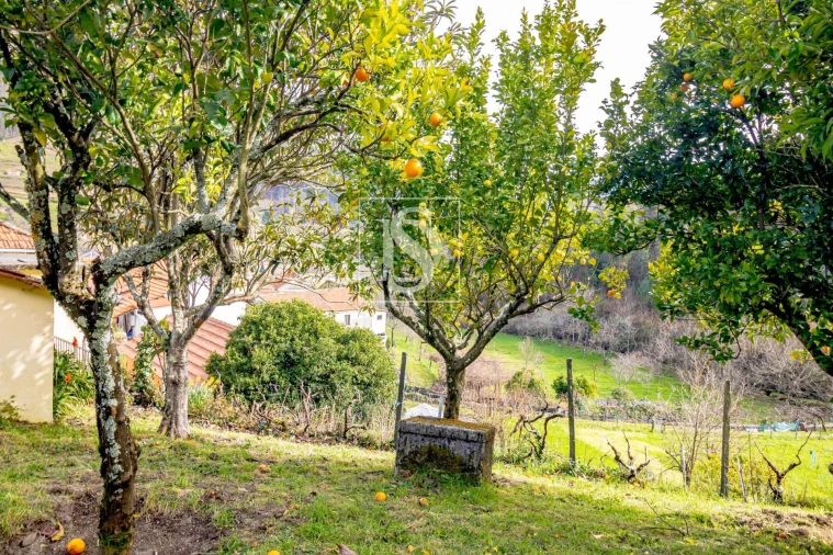 Moradia T3 para Venda em Teixeira e Teixeiró Foto 29