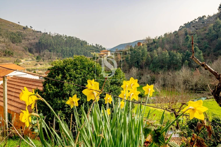 Moradia T3 para Venda em Teixeira e Teixeiró Foto 35