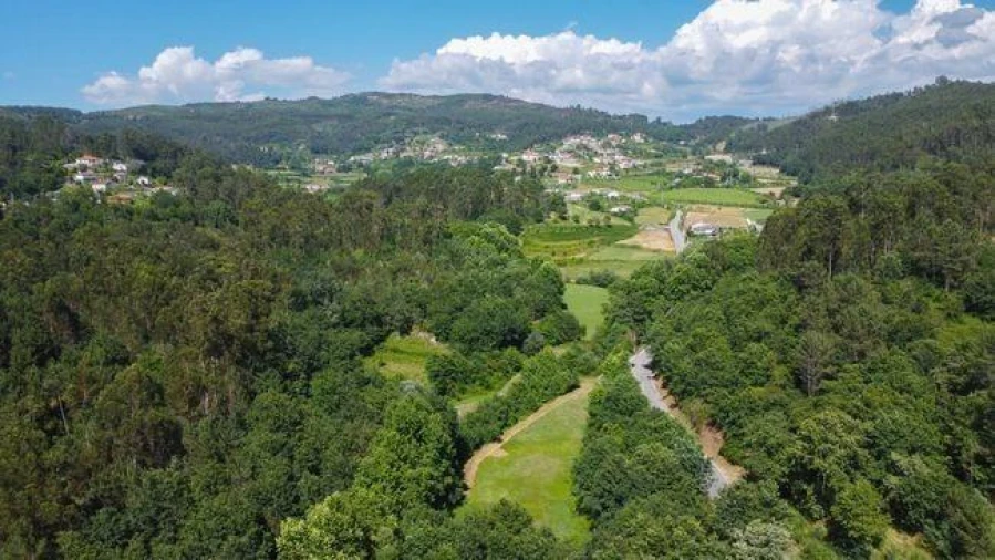 Moradia T4 para Venda em Fonte Arcada e Oliveira Foto 38