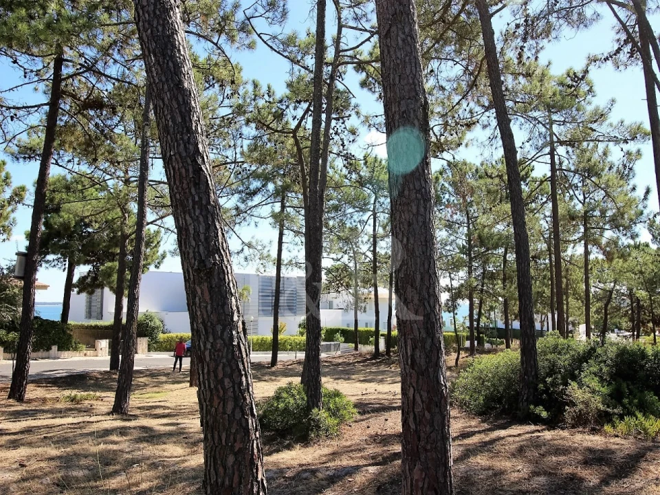 Moradia T5 para Venda em Carvalhal Foto 24