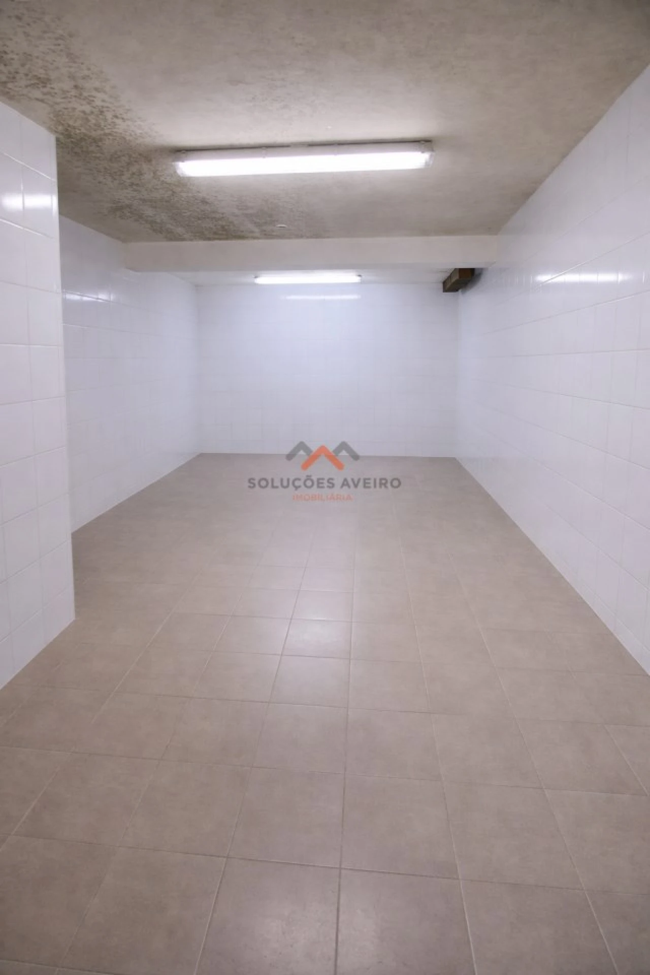 Negócio para Arrendamento em São João de Loure e Frossos Foto 8