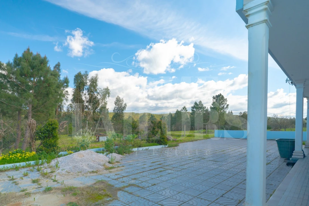 Moradia T4 para Venda em Serra e Junceira Foto 42