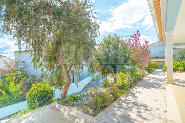 Moradia T4 para Venda em Serra e Junceira Foto 7