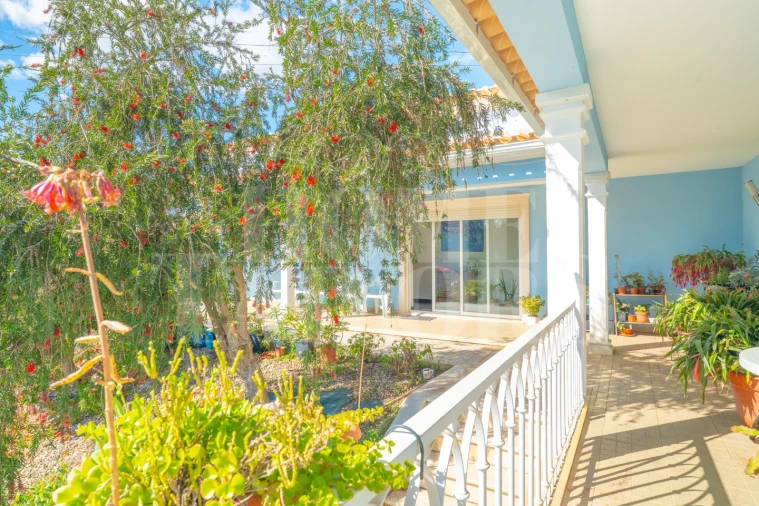 Moradia T4 para Venda em Serra e Junceira Foto 8