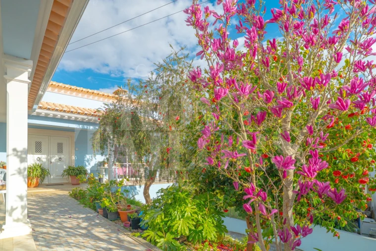 Moradia T4 para Venda em Serra e Junceira Foto 4