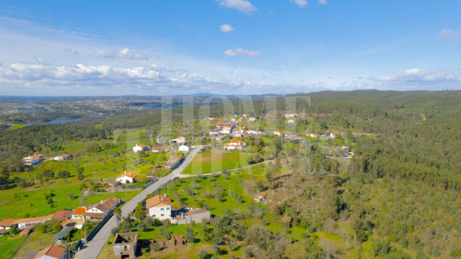 Moradia T4 para Venda em Serra e Junceira Foto 48