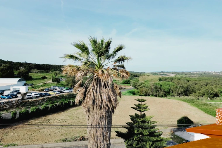 Moradia T3 para Venda em Olho Marinho Foto 22