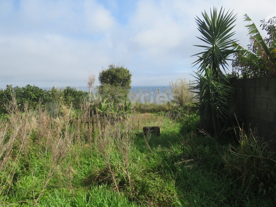 Moradia T2 para Venda em Santo Antonio Foto 20