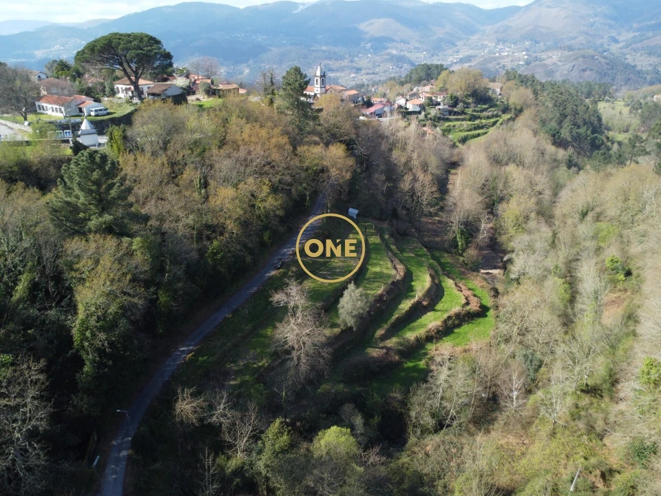 Terreno para Venda em Chorense e Monte Foto 9