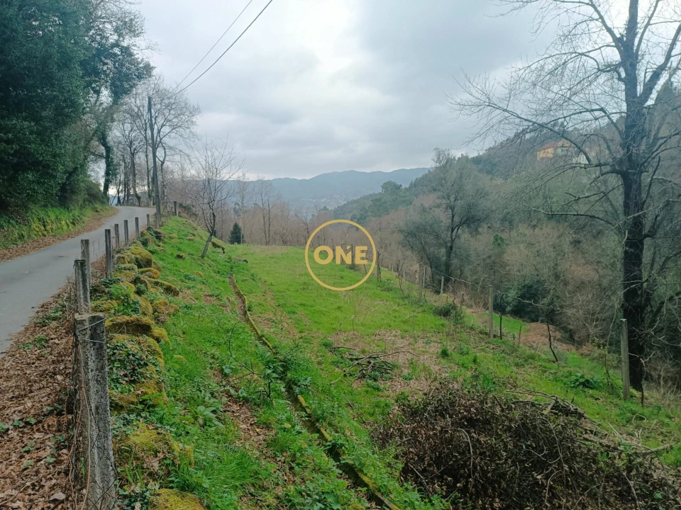 Terreno para Venda em Chorense e Monte Foto 11