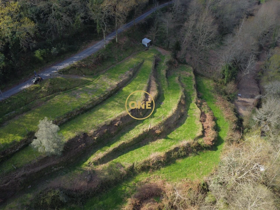 Terreno para Venda em Chorense e Monte Foto 1