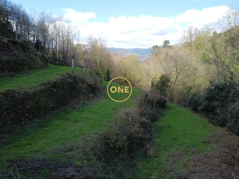 Terreno para Venda em Chorense e Monte Foto 8