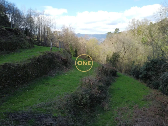 Terreno para Venda em Chorense e Monte Foto 8