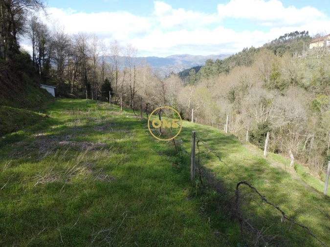 Terreno para Venda em Chorense e Monte Foto 5