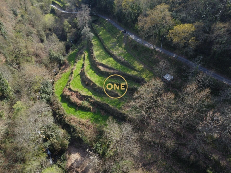 Terreno para Venda em Chorense e Monte Foto 4