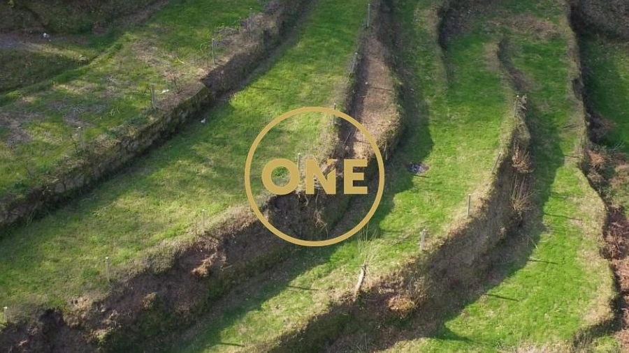 Terreno para Venda em Chorense e Monte