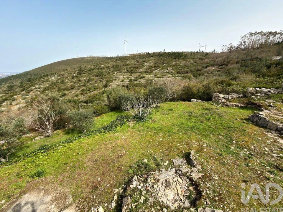 Moradia para Venda em Reguengo do Fetal Foto 22