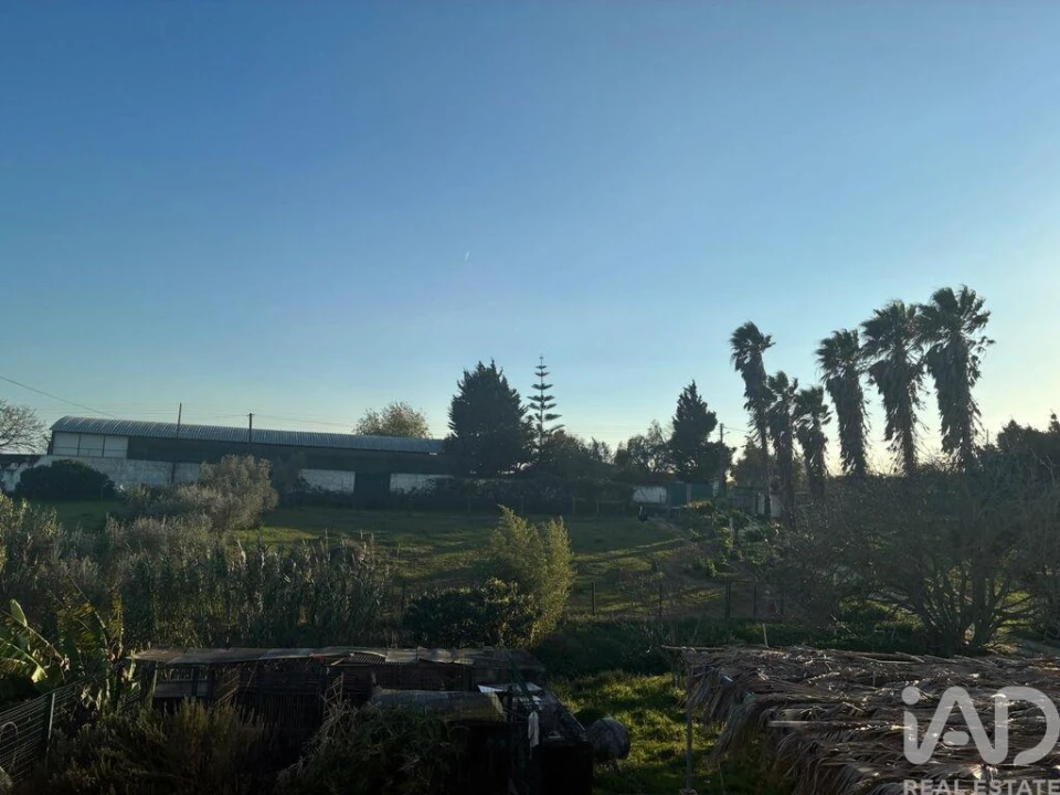 Moradia T5 para Venda em Cartaxo e Vale da Pinta Foto 29