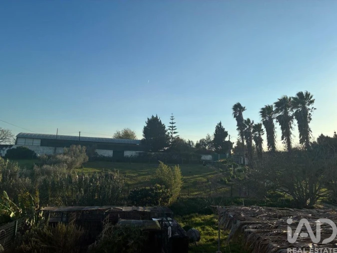 Moradia T5 para Venda em Cartaxo e Vale da Pinta Foto 29