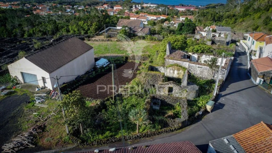 Quinta para Venda em Candelaria Foto 5