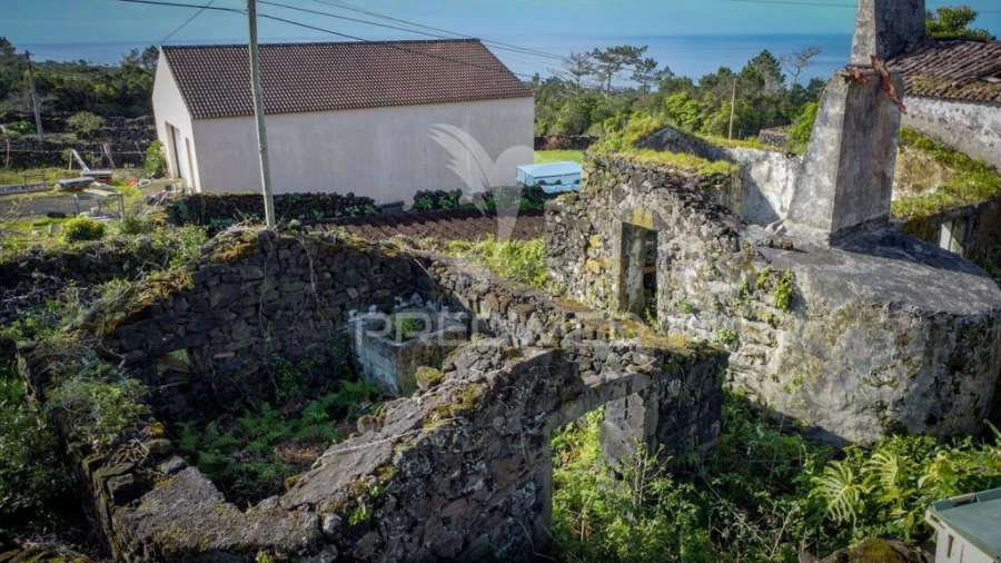 Quinta para Venda em Candelaria Foto 4
