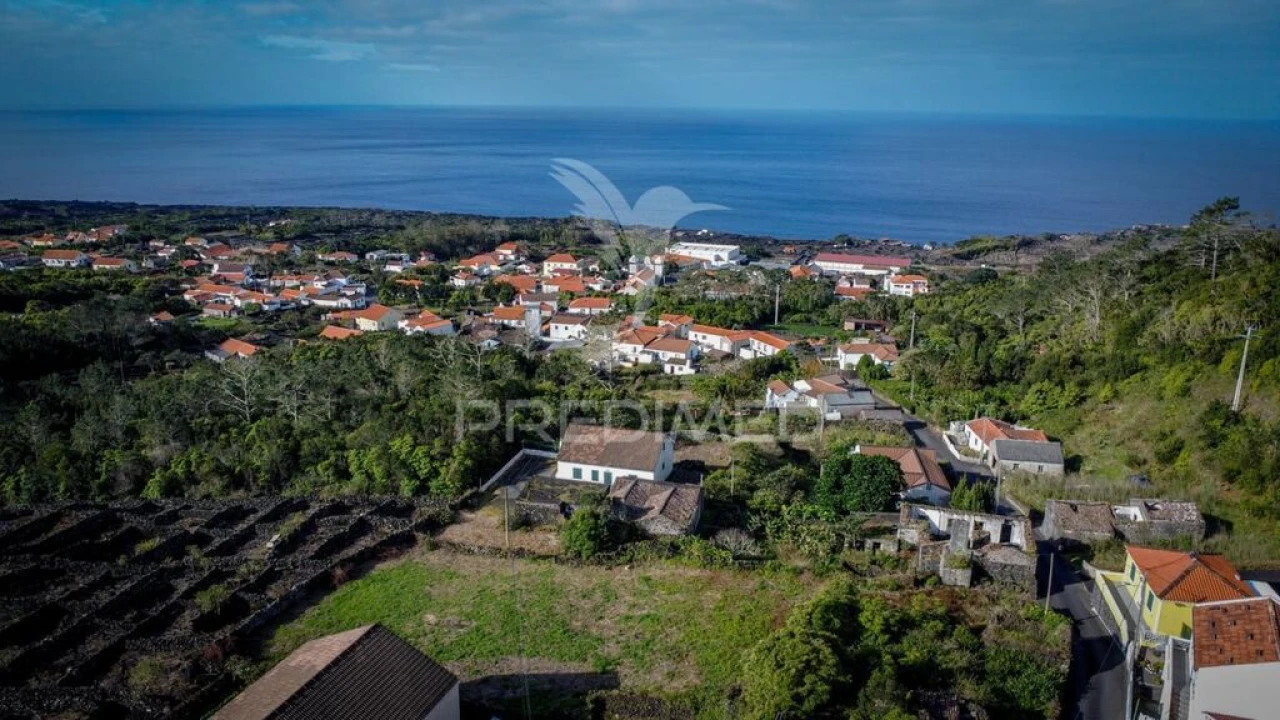 Quinta para Venda em Candelaria Foto 6