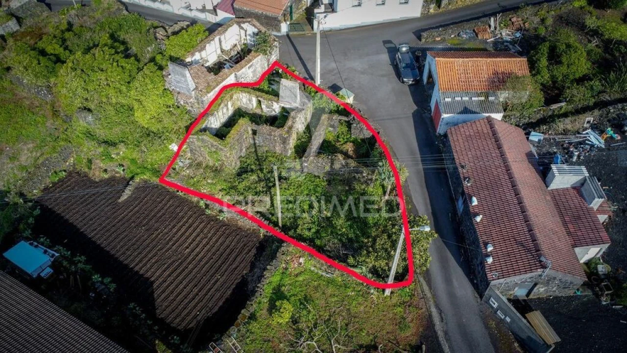 Quinta para Venda em Candelaria Foto 3