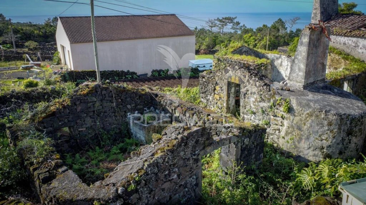 Quinta para Venda em Candelaria Foto 4