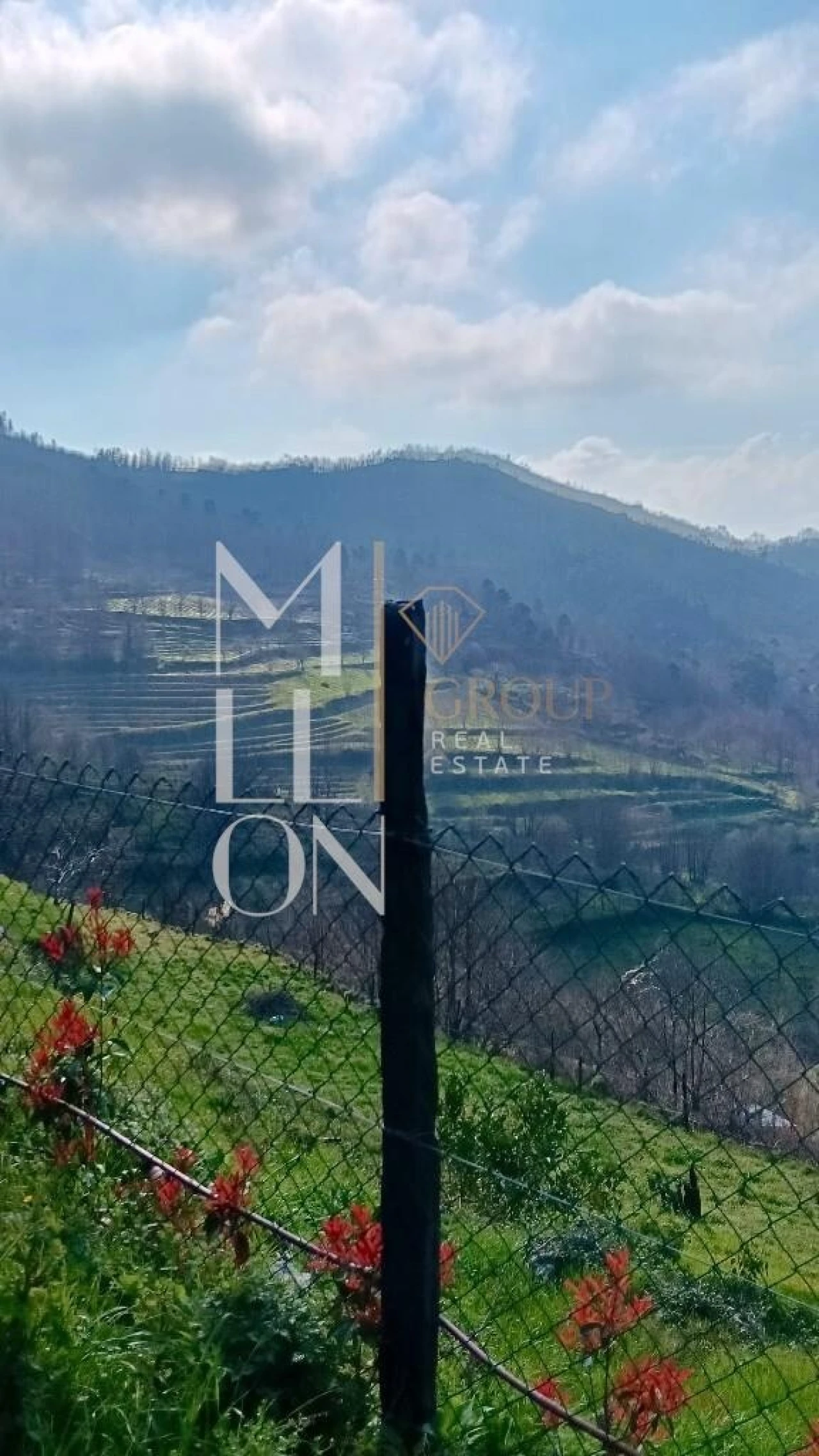 Terreno para Venda em Anreade e São Romão de Aregos Foto 6