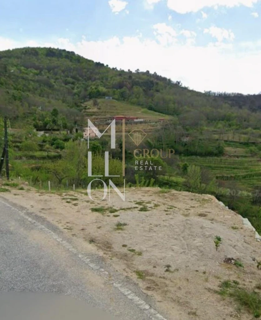 Terreno para Venda em Anreade e São Romão de Aregos Foto 3