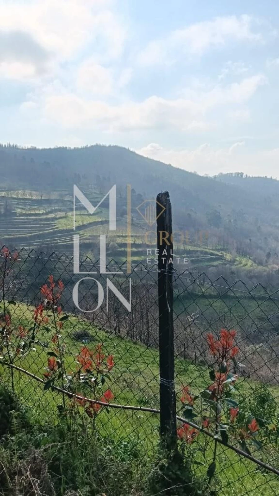 Terreno para Venda em Anreade e São Romão de Aregos Foto 9