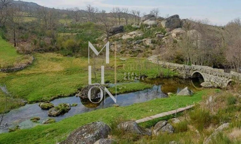 Terreno para Venda em Anreade e São Romão de Aregos Foto 17