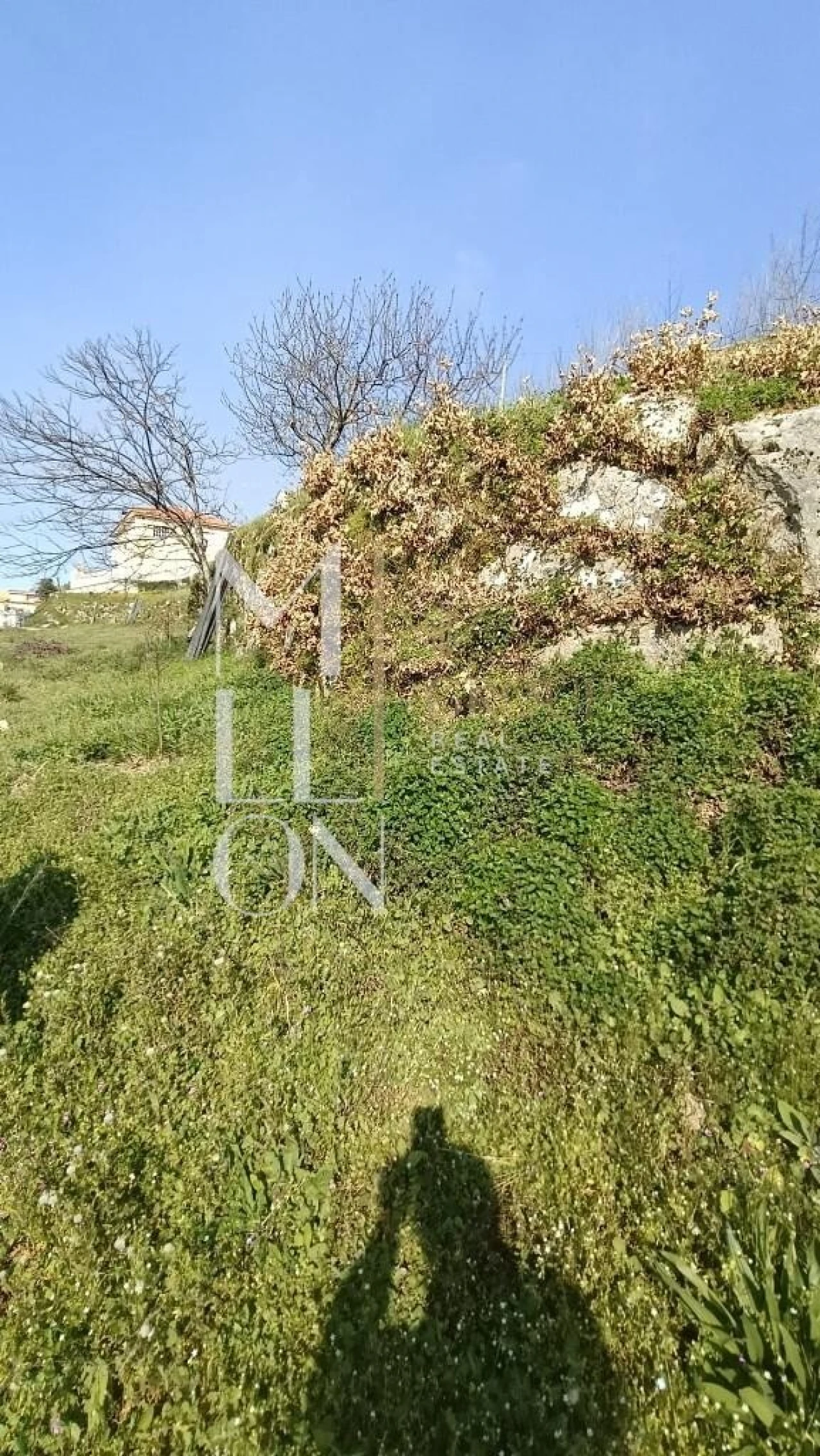 Terreno para Venda em Anreade e São Romão de Aregos Foto 15