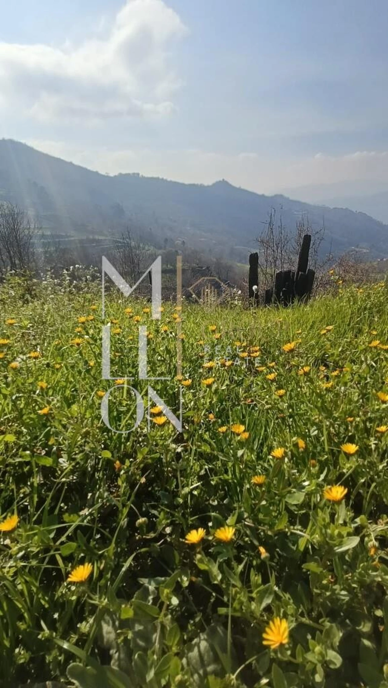 Terreno para Venda em Anreade e São Romão de Aregos Foto 11